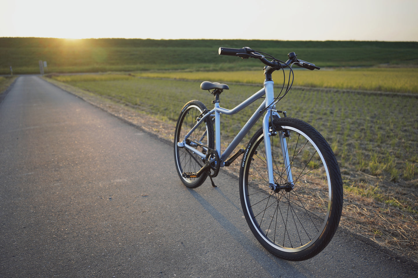 wimo kids 26(Nasu / ナス)|軽量ベルトドライブ26インチ自転車