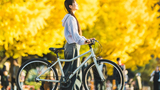 秋のサイクリングにぴったり｜軽量26インチクロスバイクで楽しむ快適ライド