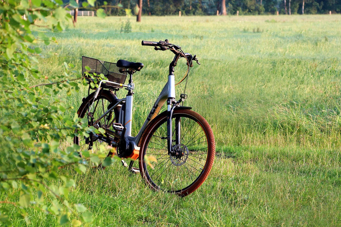 流行りの電動アシスト自転車がおすすめの理由 - wimo online store